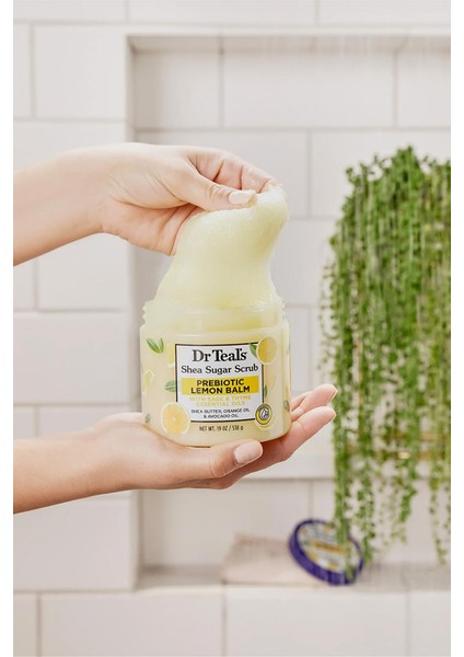 Dr.teals Prebiotic Lemon Balm Shea Sugar Scrub Vücut Peelingi 538GR indirimleri