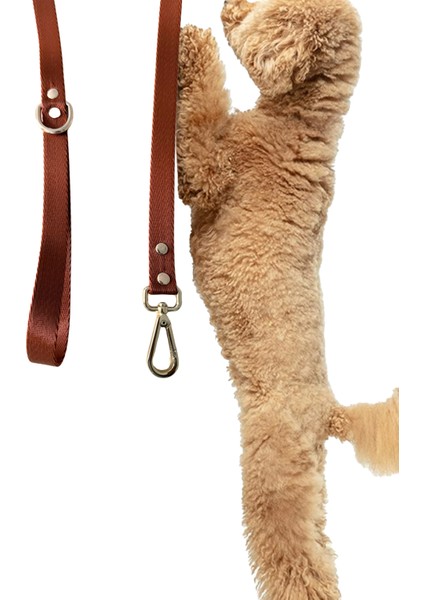 Mood Köpek Gezdirme Tasması Gezdirme Kayışı 120CM