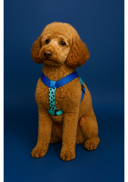 Çekiştirme Önleyici Ayarlanabilir H Tipi Köpek Göğüs Tasması