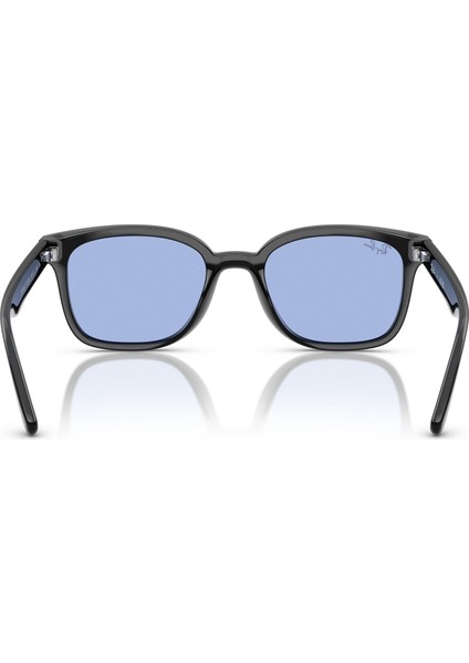 0rb 4461D 601/800 64 modelleri