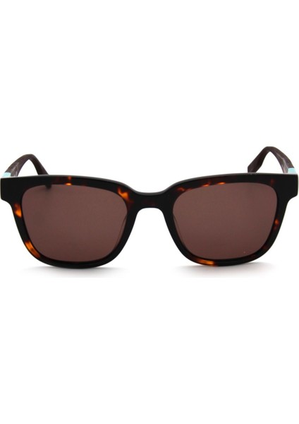 Cv 519S C239 Kadın Güneş Gözlüğü fiyatları