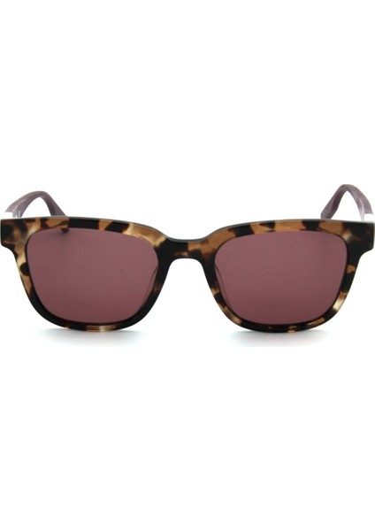 Cv 519S C241 Kadın Güneş Gözlüğü fiyatları