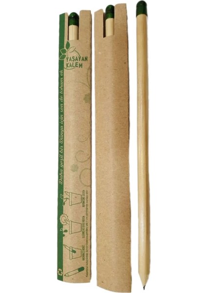 Tohumlu Yaşayan Kalem Yeşeren Kalem Tohumlu 12 Li