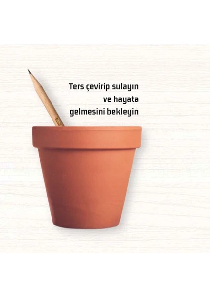 Tohumlu Yaşayan Kalem Yeşeren Kalem Tohumlu 12 Li fiyatları