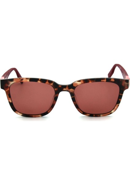 Cv 519S C690 Kadın Güneş Gözlüğü fiyatları