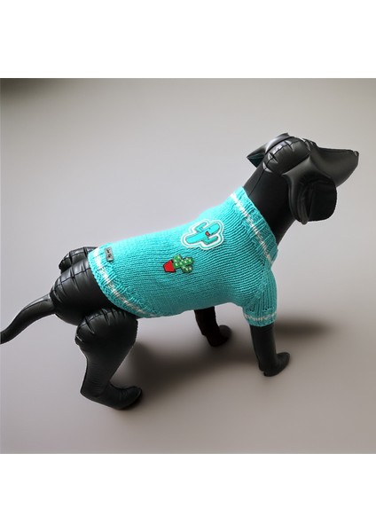 Köpek Için Kaktüslü Turkuaz Kazak modelleri