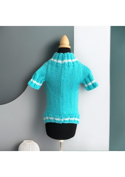 Köpek Için Kaktüslü Turkuaz Kazak fırsatları