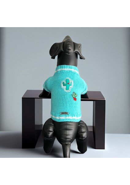 Köpek Için Kaktüslü Turkuaz Kazak indirimleri