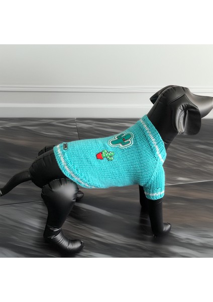 Köpek Için Kaktüslü Turkuaz Kazak