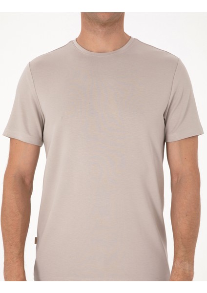 Erkek Taş Regular Fit Basic Tişört 50318130-VR049