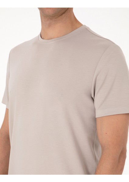 Erkek Taş Regular Fit Basic Tişört 50318130-VR049