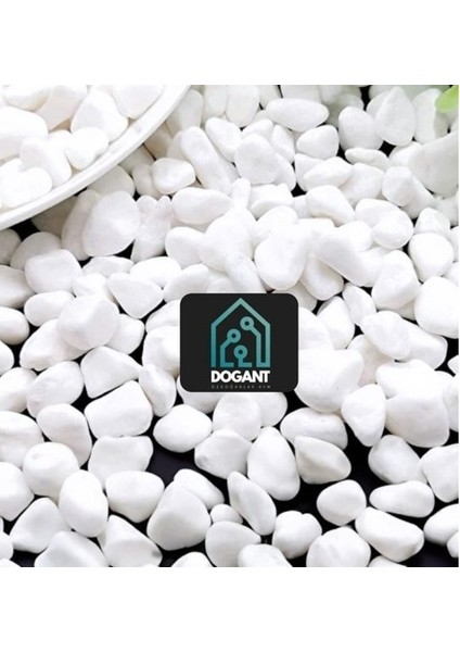 Dolomit Bahçe Dekor Peyzaj Beyaz Taş Dere Çakıl Taşı 10 kg fiyatları