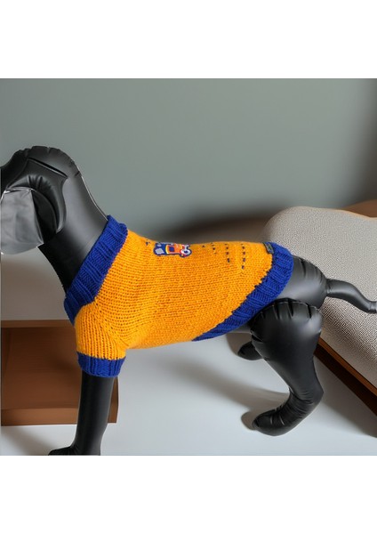 Köpek Için Lokomotifli Turuncu Mavi Kazak modelleri