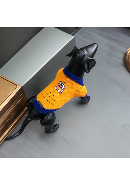 Köpek Için Lokomotifli Turuncu Mavi Kazak