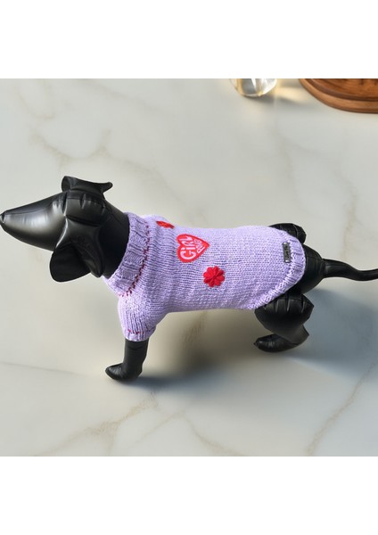 Köpek Için Girl Power Eflatun Kazak modelleri