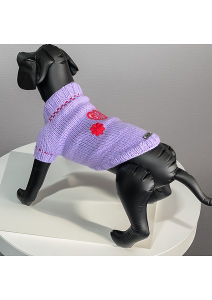 Köpek Için Girl Power Eflatun Kazak indirimleri