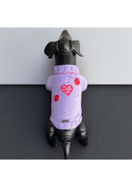 Köpek Için Girl Power Eflatun Kazak