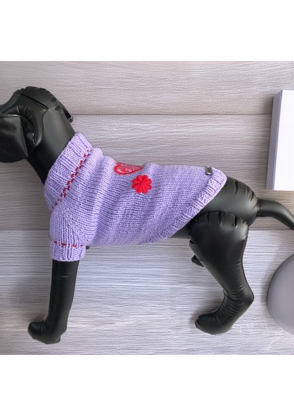 Köpek Için Girl Power Eflatun Kazak