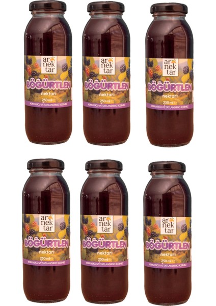 Şerbetçi Ismail Efendi Arnektar Böğürtlen Nektarı 250 ml x 6 Şişe
