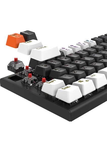 Parley Siyah/beyaz Rainbow Aydınlatmalı Türkçe Q Red Switch Mekanik Gaming Oyuncu Klavyesi fırsatları
