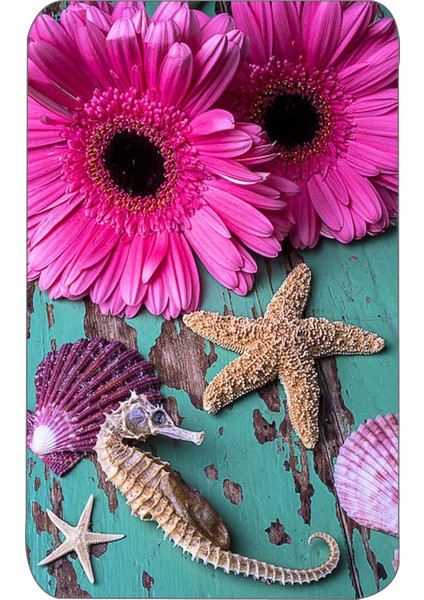 Dijital Baskı Modern Banyo Halısı Ikili Banyo Paspası LNA5073 100X60+60X50 cm fiyatları