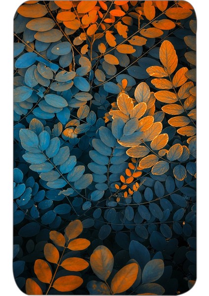 Dijital Baskı Modern Banyo Halısı Ikili Banyo Paspası LNA5114 100X60+60X50 cm fiyatları