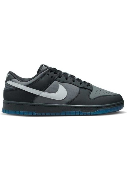 Dunk Low Erkek Sneaker Ayakkabı FV0384-001
