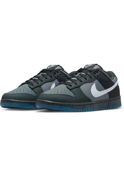 Dunk Low Erkek Sneaker Ayakkabı FV0384-001 fiyatları
