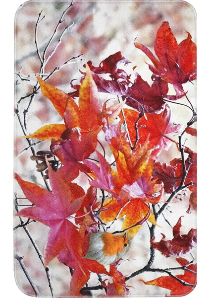 Dijital Baskı Modern Banyo Halısı Ikili Banyo Paspası LNA5053 100X60+60X50 cm fiyatları