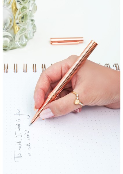 Premium Roller Kalem Bronze RP25 fiyatları