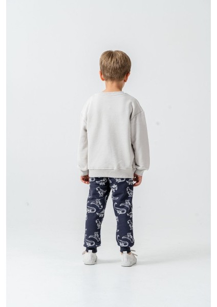 Erkek Dinozor Desenli Eşofman Takımı fiyatları