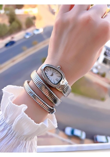 Dolamalı Yılan Model Özel Tasarım Vintage Seri Kadın Kol Saati CL.Y001.M1 fiyatları