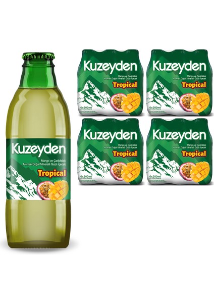 Tropical (24 x 200 Ml)