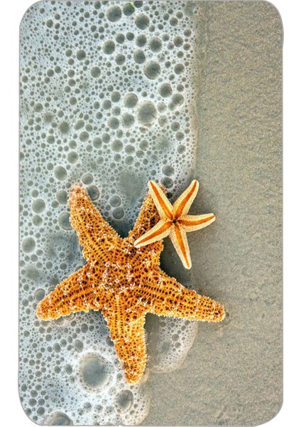 Dijital Baskı Modern Banyo Halısı Ikili Banyo Paspası LNA5004 100X60+60X50 cm fiyatları