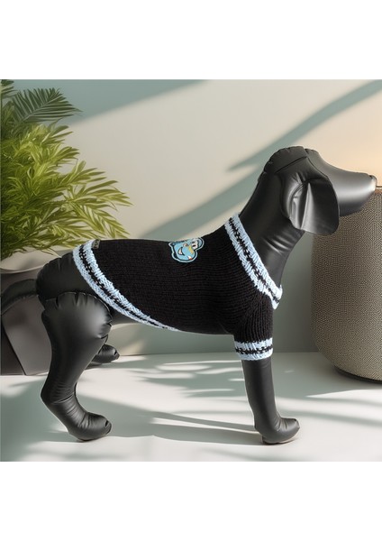 Köpek Için Cars The Movie Mavi Siyah Kazak indirimleri