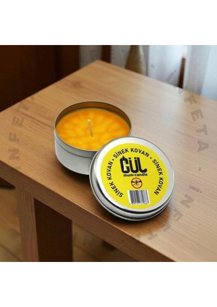 Sinek Kovan Teneke Kutu Mum modelleri