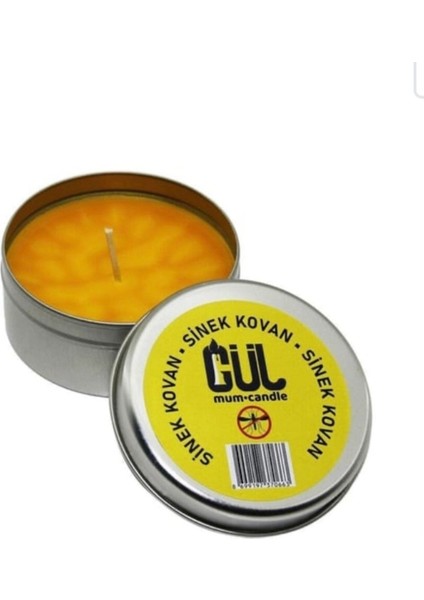 Sinek Kovan Teneke Kutu Mum fırsatları