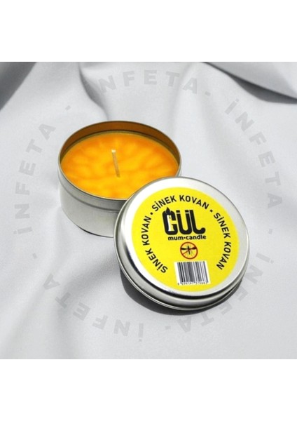 Sinek Kovan Teneke Kutu Mum indirimleri