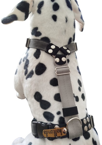 Köpek göğüs tasması orta ve büyük ırk kot göğüs ölçüsü:45-85cm boyun ölçüsü:35-55cm ayarlamalı dog harness GT3-4 fiyatları