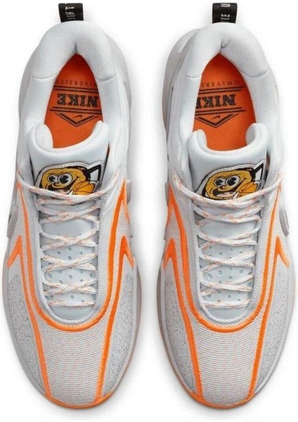 Cosmıc Unıty 2 Basketbol Ayakkabısı DH1537-004 modelleri