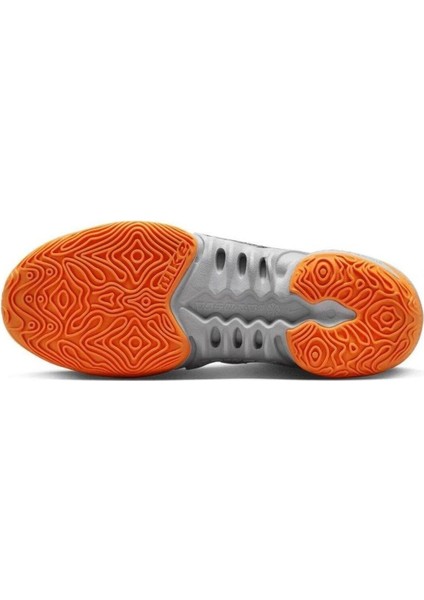 Cosmıc Unıty 2 Basketbol Ayakkabısı DH1537-004 indirimleri