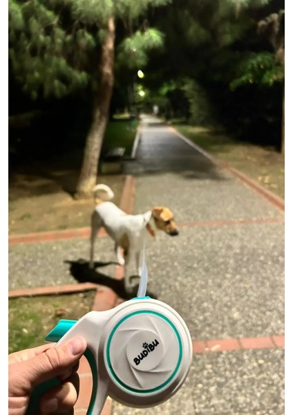 Makaralı Otomatik 5 Metre Geri Çekilebilen Kedi Köpek Gezdirme Tasması 25 Kg (M)