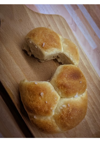 Breadkit – Kaplumbağa Desenli Ekmek Aparatı fırsatları