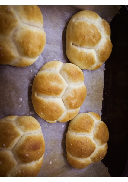 Breadkit – Kaplumbağa Desenli Ekmek Aparatı indirimleri