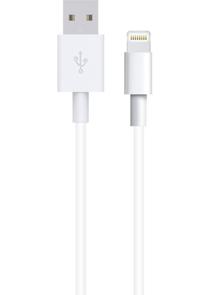 12W Hız Destekli Lightning Kablo 100 cm - Şarj ve Data Kablosu (Beyaz) NT-6511