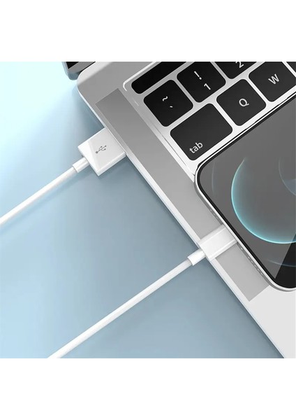 12W Hız Destekli Lightning Kablo 100 cm - Şarj ve Data Kablosu (Beyaz) NT-6511 modelleri