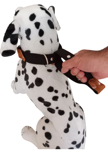 Köpek Boyun Tasması Büyük Irk Metal Kilit Sistemli Kalın Kolon Boyun ölçüsü:30-60cm Ayarlamalı Dog Collar T5-11