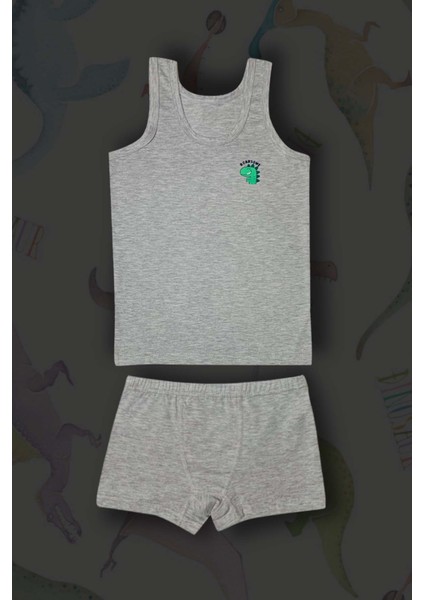 3'lü Erkek Çocuk Dinazor Baskılı Pamuklu Çamaşır Takımı modelleri