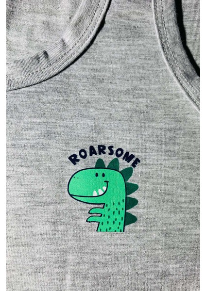 3'lü Erkek Çocuk Dinazor Baskılı Pamuklu Çamaşır Takımı