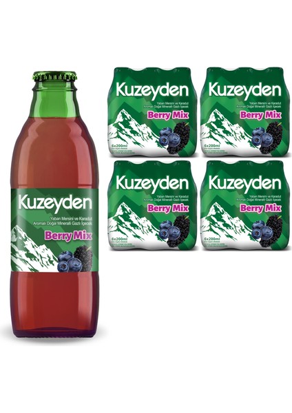 Berry Mix (24 x 200 Ml)